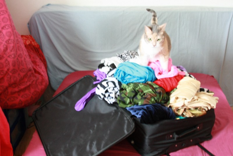 67 zentais en aout 2010
la grosse valise ne ferme plus!!
