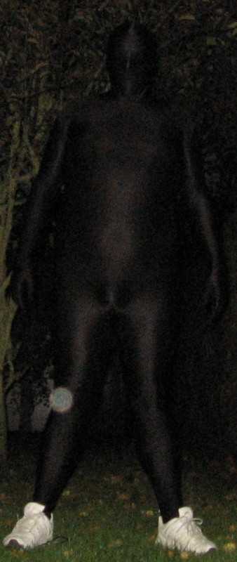 dans le jardin de nuit
