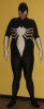 Nom du fichier=spiderwoman_black.jpg
Taille du fichier=40Ko
Dimensions : 333x800
Ajouté le : 30 Décembre 2008 spiderwoman_black.jpg