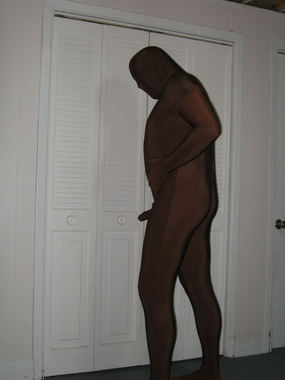 Zentai Brun
Mots-clés: brun