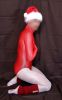 bodystok-noel005lo.jpg