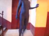 zentai_maison_1870_011.JPG