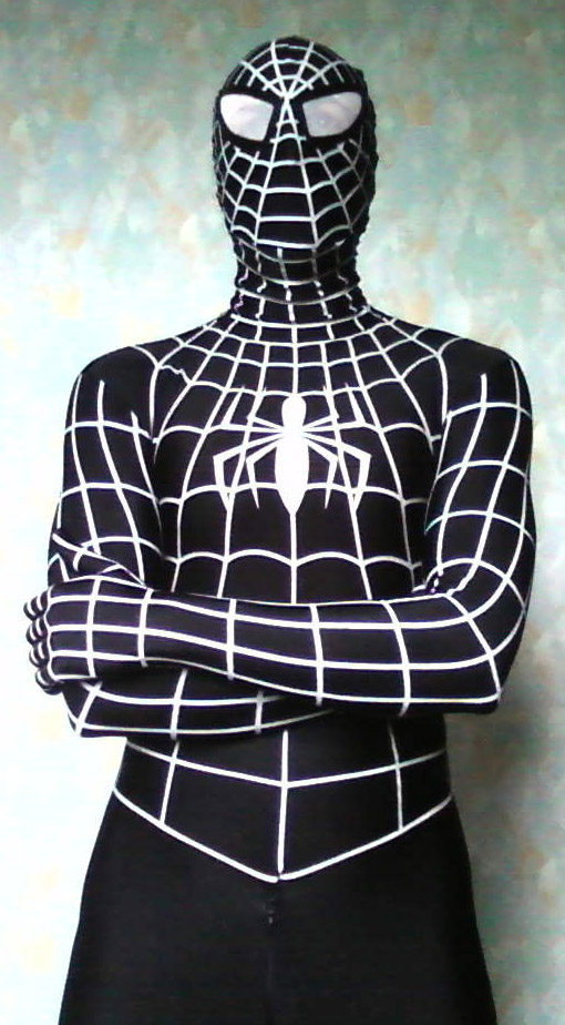 spiderman6.jpg