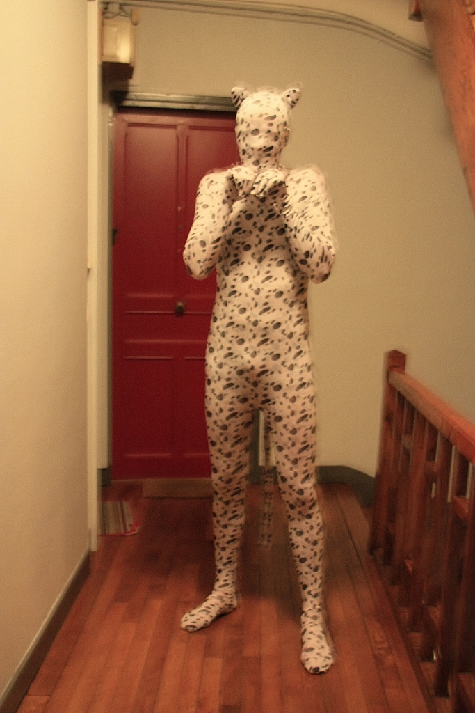 Zentaï dalmatien
Propriété de lycraboy
