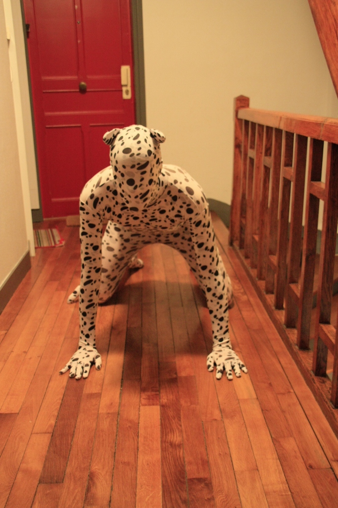 Zentaï dalmatien
Propriété de lycraboy
