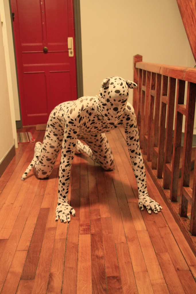 Zentaï dalmatien
Propriété de lycraboy
