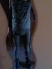 Nom du fichier=120211leggingkaki-1.JPG
Taille du fichier=268Ko
Dimensions : 720x960
Ajouté le : 22 Novembre 2014 120211leggingkaki-1.JPG