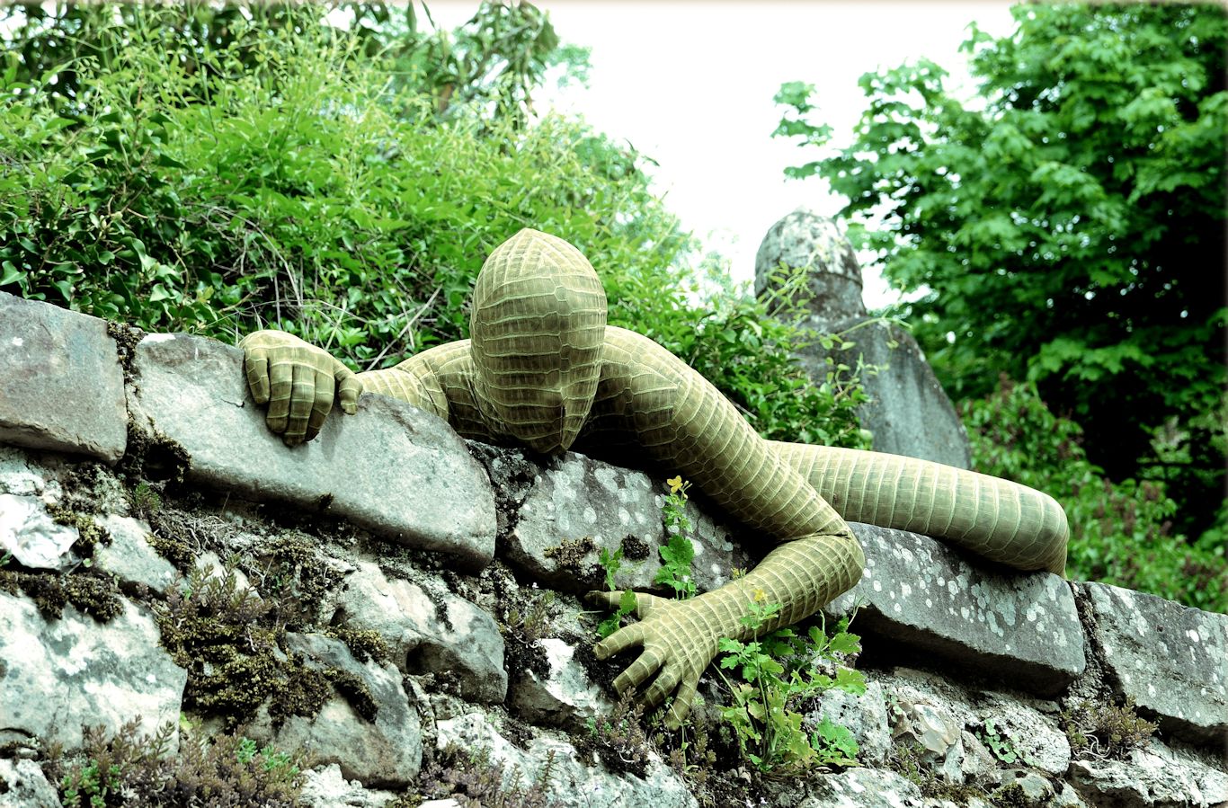levibrok artwork
Mots-clés: zentai