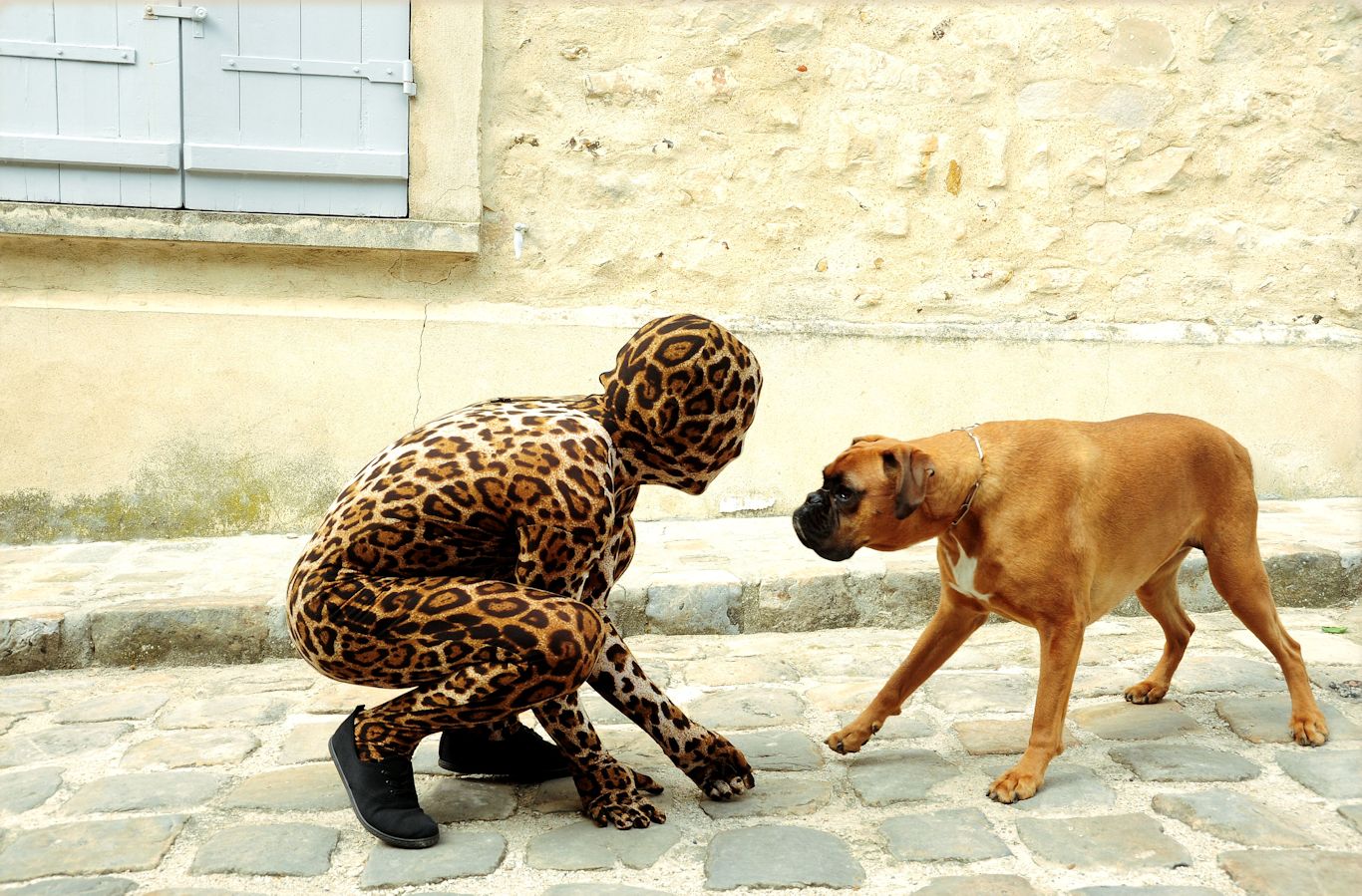 levibrok artwork
Mots-clés: zentai