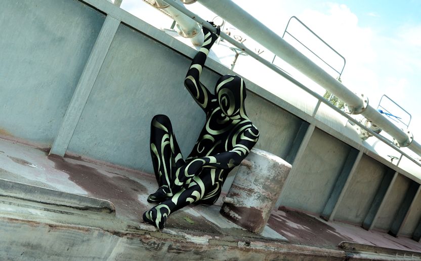 levibrok artwork
Mots-clés: zentai