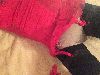 image~10.gif