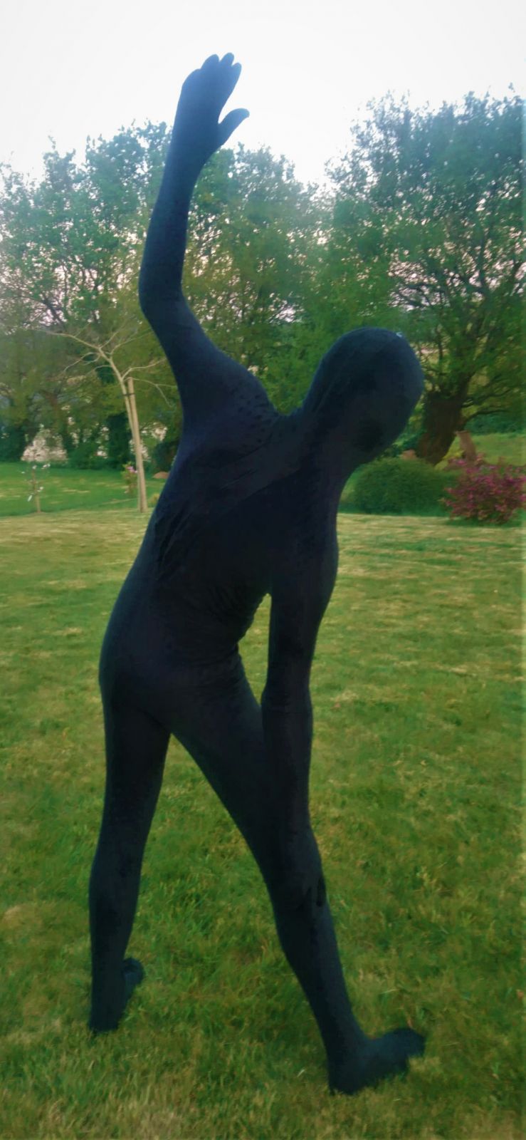 Mots-clés: zentai minky