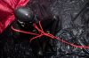 Nom du fichier=latex_2B_Fredly_2_286_129.jpg
Taille du fichier=250Ko
Dimensions : 1599x1068
Ajouté le : 18 Juin 2018 latex_2B_Fredly_2_286_129.jpg