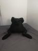 seance_1_28329.jpg