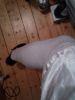 Nom du fichier=bloomer3.jpg
Taille du fichier=60Ko
Dimensions : 600x800
Ajouté le : 08 Juin 2018 bloomer3.jpg