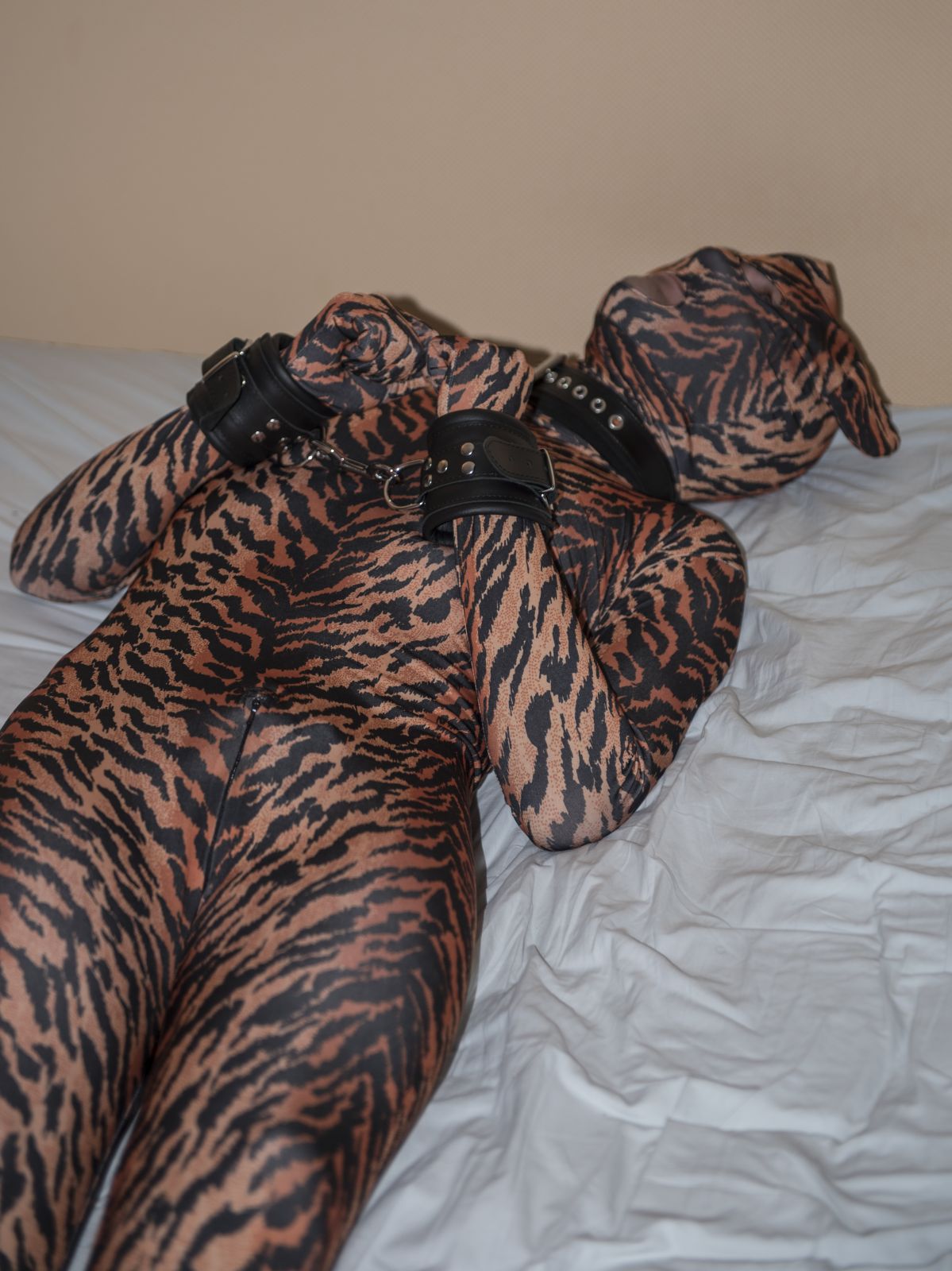 Tigre et cordes - photo par fredly
